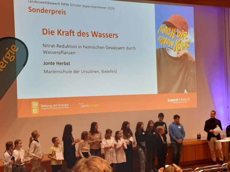 Sonderpreis beim Landeswettbewerb „Schüler experimentieren“