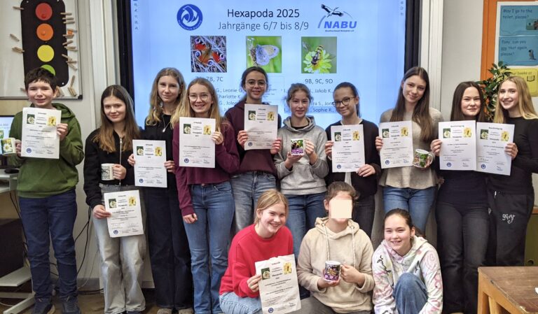 Projekt Hexapoda 2025